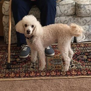 Meet your Posher, Deb